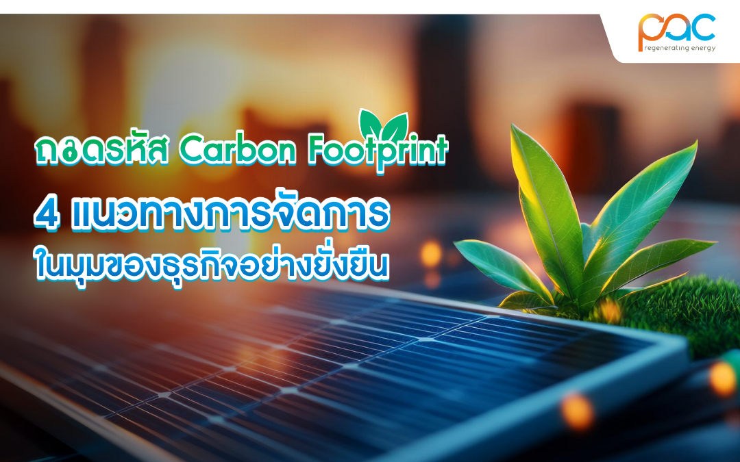 ถอดรหัส Carbon Footprint: 4 แนวทางการจัดการในมุมของธุรกิจอย่างยั่งยืน